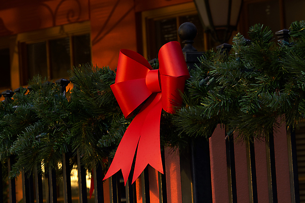 포토 JPG 해외이미지 외관 계절 리본 크리스마스 난간 휴가 사람없음 야외 장식 빨간색 울타리 축제 나뭇가지 소나무 상록수 내추럴 가문비나무 해외202004 해외포토 나무 기념일 컬러 담장 파일형식 이미지허브