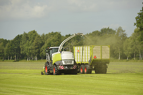포토 JPG 해외이미지 동물 음식 농업 교통시설 건조 사람없음 초록색 여름 농작물 농장 농경지 환경 모임 수확 시골 업무 선택 볏짚 농부 결합 먹이 자르기 수집 계약 트랙터 트레일러 계약자 해외202004 해외포토 직업 계절 산업 컬러 교통 컨셉 비즈니스 모션 작업 짚 농기계 시설 특수차량 파일형식 이미지허브