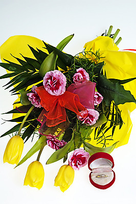 포토 JPG 해외이미지 꽃 백그라운드 사람없음 노란색 튤립 신선 닫기 다발 강렬 해외202004 해외포토 식물 컬러 모션 파일형식 이미지허브