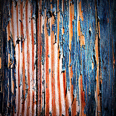 포토 JPG 해외이미지 외관 벽 백그라운드 패턴 자연 표면 날씨 추상 미술 사람없음 야외 목재 페인트 손상 시골 거친 널 부식 질감 과거 시들음 진행 그런지 옛날 중고 효과 해외202004 해외포토 나무 컨셉 무늬 재료 문화예술 생태계 파일형식 이미지허브