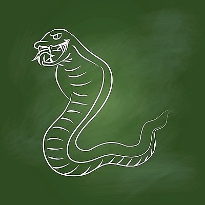 EPS 해외이미지 동물 디자인 교육 야생동물 어린이 선 백그라운드 컨셉 일러스트 학교 자연 미술 그래픽 초록색 픽토그램 칠판 수확 흰색 뱀 플랫 먹기 문신 심볼 그림 분필 심플 윤곽 해외202004 해외일러스트 컬러 농업 파충류 모션 문화예술 사람 초크 생태계 파일형식 벡터 이미지허브