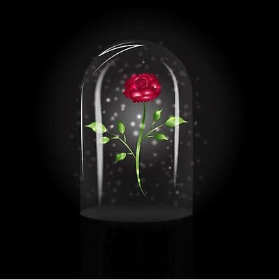 EPS 해외이미지 꽃 선 줄기 백그라운드 잎 일러스트 유리 불꽃 친절 발렌타인데이 선물 사랑 미술 빨간색 장미 유행 검은색 벚꽃 점 인쇄 심볼 그림 고립 돌봄 인기 해외202004 해외일러스트 식물 감정 컬러 모션 데이이벤트 재질 불 문화예술 파일형식 벡터 이미지허브