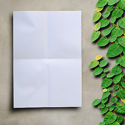 포토 JPG 해외이미지 나무 식물 종이 벽 백그라운드 잎 곡선 건축양식 자연 벽지 추상 주택 프레임 사람없음 건물 빨간색 초록색 우주 정원 공백 손상 흰색 주름 원예 시멘트 아이비 고립 구김 접기 콘크리트 카피스페이스 해외202004 해외포토 건축물 건축 선 컬러 컨셉 무늬 모션 취미 생태계 파일형식 이미지허브