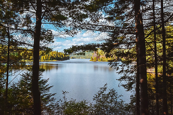 포토 JPG 해외이미지 나무 구름 계절 공원 호수 여행 백그라운드 잎 캐나다 오렌지 자연 산 파노라마 국립공원 풍경 사람없음 야외 빨간색 물 컬러풀 반사 노란색 평화 환경 활발 가을 황무지 숲 9월 11월 언덕 10월 내추럴 강렬 해외202004 해외포토 자연요소 식물 공공시설 컬러 컨셉 북아메리카 과일 촬영기법 날짜 생태계 파일형식 이미지허브