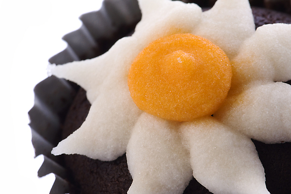 포토 JPG 해외이미지 음식 디저트 사람없음 장식 컵 컬러풀 케이크 얼음 빵집 생일 닫기 달콤 맛 설탕 컵케이크 고립 페스츄리 해외202004 해외포토 자연요소 식기 기념일 빵 컬러 컨셉 모션 상점 파일형식 이미지허브