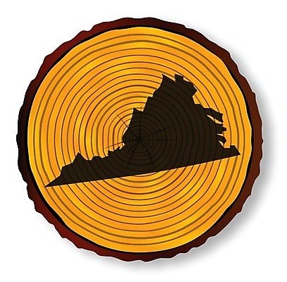 EPS 해외이미지 실루엣 지도 일러스트 부분 미술 목재 그래픽 낟알 그림 통나무 종료 고립 수목 해외202004 해외일러스트 나무 재료 문화예술 촬영기법 파일형식 벡터 이미지허브