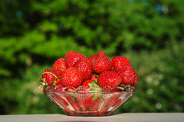 포토 JPG 해외이미지 열매 음식 백그라운드 다이어트 과일 자연 유리 탁자 딸기 디저트 건강 사람없음 야외 빨간색 초록색 여름 햇빛 정원 신선 사발 먹기 유기농 다과 내추럴 해외202004 해외포토 식물 웰빙 계절 컬러 가구 모션 재질 태양 사기그릇 생태계 파일형식 이미지허브