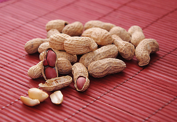 포토 JPG 해외이미지 음식 백그라운드 겨울 패턴 다이어트 자연 탁자 건조 건강 요리 씨앗 사람없음 목재 갈색 견과류 껍질 흰색 그룹 균열 굽기 먹기 묘사 유기농 질감 날것 땅콩 칼로리 내추럴 고립 단백질 많음 해외202004 해외포토 나무 식물 웰빙 계절 컬러 가구 컨셉 무늬 재료 모션 구이 생태계 영양소 파일형식 이미지허브