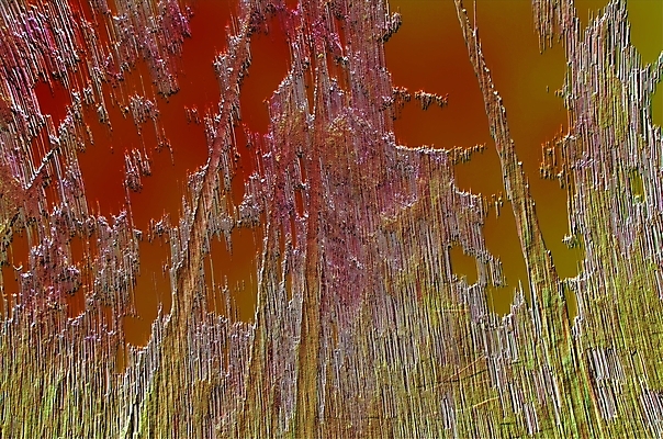 포토 JPG 해외이미지 디자인 종이 벽 백그라운드 패턴 일러스트 표면 추상 프레임 미술 사람없음 그래픽 장식 빨간색 갈색 디지털 소리 페인트 공백 수확 골동품 붓 점 얼룩 가장자리 가죽 질감 문서 복고 먼지 페이지 구김 그런지 스크랩북 양피지 옛날 원고 해외202004 해외포토 컬러 무늬 농업 모션 문화예술 둘레 파일형식 이미지허브