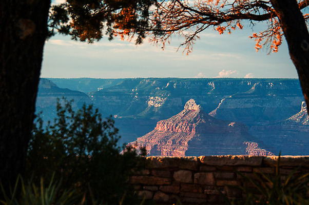 포토 JPG 해외이미지 나무 여행 북아메리카 자연 산 국립공원 사람없음 야외 가로 관광지 컬러풀 골짜기 계곡 미국 암석 애리조나 그랜드캐니언 지질학 해외202004 해외포토 식물 공원 교육 컬러 아메리카 돌_바위 생태계 파일형식 이미지허브