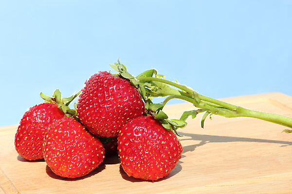 포토 JPG 해외이미지 열매 음식 백그라운드 다이어트 과일 딸기 디저트 건강 사람없음 빨간색 파란색 컬러풀 정원 나뭇가지 신선 그룹 달콤 맛 먹기 유기농 내추럴 고립 숙성 식욕 식용 해외202004 해외포토 나무 식물 웰빙 컬러 컨셉 모션 파일형식 이미지허브