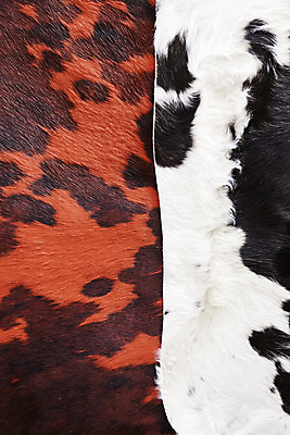 포토 JPG 해외이미지 동물 디자인 백그라운드 패턴 자연 벽지 표면 추상 건강 미술 사람 사람없음 장식 빨간색 컬러풀 갈색 노란색 유행 검은색 축구 어둠 희망 직물 고급 인쇄 가죽 수집 피부 오브젝트 질감 모음 암 장인 치타 표범 내추럴 돌봄 엘리먼트 해외202004 해외포토 감정 컬러 컨셉 무늬 포유류 모션 문화예술 한글 신체부위 구기 질병 생태계 파일형식 이미지허브