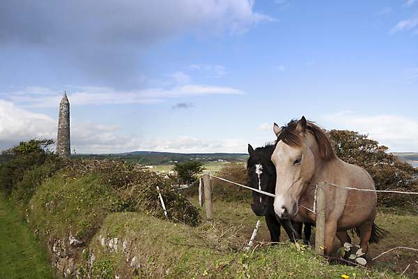 포토 JPG 해외이미지 나무 동물 구름 벽 스포츠 2 밭 하늘 풍경 사람없음 야외 초록색 여름 파란색 울타리 농장 갈색 머리 탑 검은색 화목 봄 바위 흰색 시골 쌍 원형 역사 암초 갈기 아일랜드 망아지 해외202004 해외포토 자연요소 도형 식물 건축물 계절 유럽 새끼 컬러 컨셉 농업 신체부위 담장 돌_바위 말_동물 파일형식 이미지허브