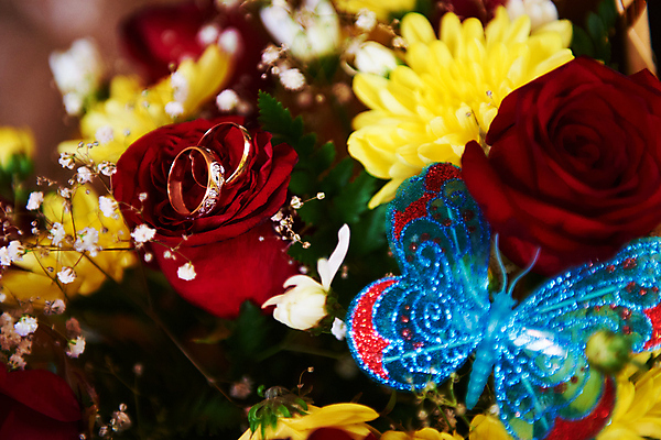 포토 JPG 해외이미지 커플 꽃잎 결혼 잎 2 결혼식 사랑 사람없음 빛 장미 금속 반지 쌍 원형 고급 보석 심볼 열정 해외202004 해외포토 도형 식물 꽃 감정 컨셉 장신구 관계 재질 이벤트 광석 파일형식 이미지허브