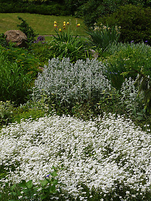 포토 JPG 해외이미지 식물 계절 공원 꽃잎 꽃 줄기 잎 자연 사람없음 야외 장식 초록색 정원 봄 성장 벚꽃 개화 화단 내추럴 돌봄 그리너리 해외202004 해외포토 공공시설 컬러 모션 생태계 파일형식 트랜드컬러 이미지허브