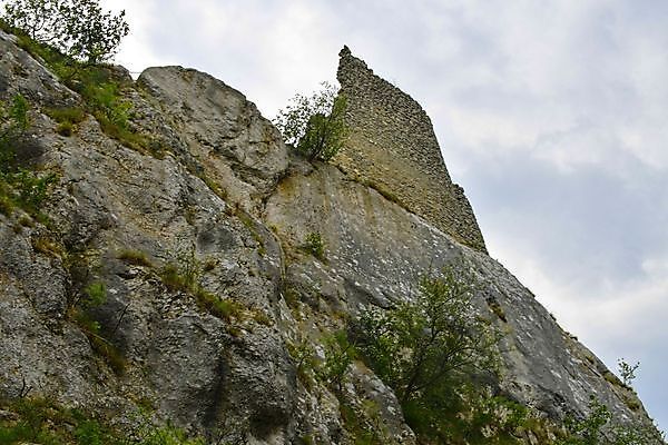 포토 JPG 해외이미지 나무 식물 유럽 산업 여행 백그라운드 밭 농업 건축양식 자연 하늘 산 파노라마 풍경 사람없음 야외 초록색 여름 파란색 마을 와인 봄 성장 흰색 시골 숲 언덕 포도밭 포도나무 지역 체코 남쪽 내추럴 공화국 옛날 모라비아 해외202004 해외포토 계절 건축 나라 컬러 주류 촬영기법 과일나무 방향 생태계 파일형식 이미지허브
