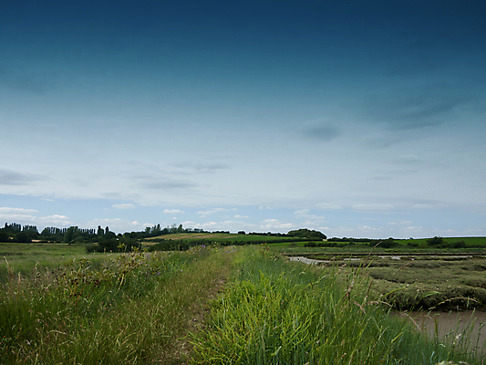 포토 JPG 해외이미지 나무 식물 구름 영어 길 백그라운드 밭 농업 자연 하늘 날씨 영국 잉글랜드 풍경 사람없음 야외 초록색 여름 파란색 농작물 농경지 환경 산책 하이킹 시골 숲 오솔길 요크셔테리어 밭일 삼림지대 해외202004 해외포토 자연요소 문자 계절 유럽 산업 컬러 레저 휴식 농장 테리어 생태계 파일형식 이미지허브