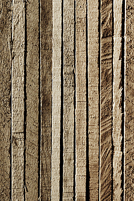 포토 JPG 해외이미지 백그라운드 패턴 건조 사람없음 목재 갈색 공백 회색 골동품 껍질 소나무 거친 질감 일렬 나무껍질 구식 그런지 수목 옛날 해외202004 해외포토 나무 컬러 무늬 재료 파일형식 이미지허브