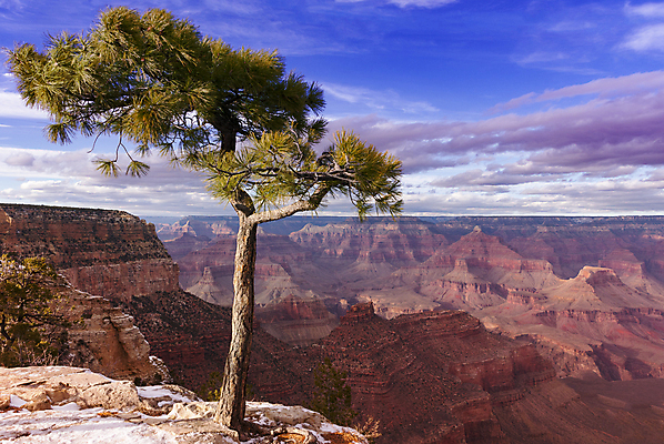 포토 JPG 해외이미지 나무 식물 구름 공원 여행 오렌지 자연 하늘 풍경 사람없음 빨간색 파란색 빛 강 환경 골짜기 미국 일몰 사막 바위 소나무 황무지 가장자리 부식 산등성이 암초 애리조나 남쪽 내추럴 웅장함 전국 콜로라도 수평선 해외202004 해외포토 자연요소 공공시설 컬러 북아메리카 과일 산 노을 돌_바위 둘레 방향 생태계 파일형식 이미지허브
