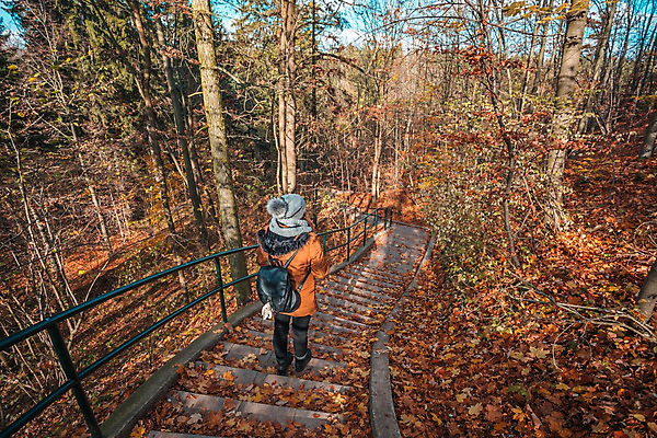 포토 JPG 해외이미지 나무 백인 라이프스타일 응시 여자 야생동물 여행 지도 배낭 자연 하늘 성공 휴가 휴식 사랑 서기 사람 풍경 사람없음 야외 목재 뒷모습 여름 햇빛 여행객 환경 일몰 봄 산책 하이킹 탐험 숲 주말 내추럴 백패커 해외202004 해외포토 서양인 식물 동물 시선 계절 감정 뷰포인트 컨셉 가방 재료 모션 레저 생활 태양 노을 생태계 파일형식 이미지허브