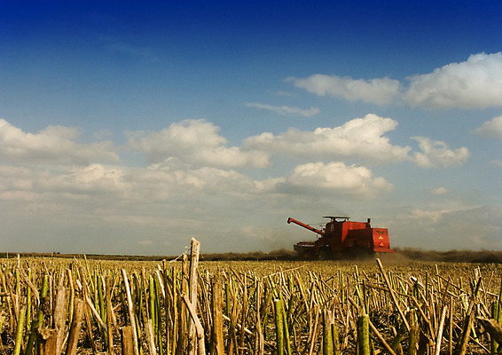 포토 JPG 해외이미지 직업 산업 밭 농업 자연 하늘 풍경 사람없음 야외 가로 빨간색 여름 농작물 컬러풀 농장 기계 수확 성장 가을 농촌 작업 황금 떨어짐 농부 결합 땅 자르기 밀 조경 드럼 밀짚 수유 자동 해외202004 해외포토 계절 컬러 컨셉 모션 타악기 곡류 시골 짚 생태계 파일형식 이미지허브