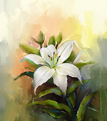 JPG 해외이미지 꽃 일러스트 사람없음 흰색 그림 손그림 릴리 유화 해외202004 해외일러스트 식물 컬러 미술 파일형식 이미지허브