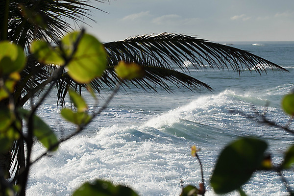 포토 JPG 해외이미지 파도 바다 하늘 사람없음 물 일몰 서핑 대서양 해외202004 해외포토 자연요소 노을 수상스포츠 파일형식 이미지허브