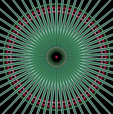 포토 JPG 해외이미지 모양 꽃 백그라운드 패턴 일러스트 추상 사람없음 빨간색 초록색 검은색 흰색 원형 다이아몬드 파열 방사형 환각 해외202004 해외포토 도형 식물 컬러 무늬 보석 증상 파일형식 이미지허브