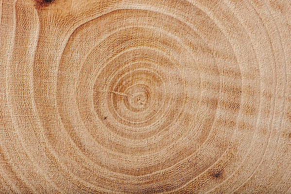 포토 JPG 해외이미지 나무 백그라운드 근접촬영 사람없음 목재 갈색 질감 나이테 물푸레나무 카피스페이스 해외202004 해외포토 식물 뷰포인트 컬러 재료 공백 파일형식 이미지허브