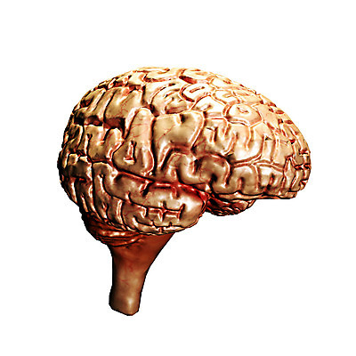 포토 JPG 해외이미지 모델 줄기 백그라운드 생각 일러스트 해부 건강 사람 사람없음 옆모습 약 머리 3D 힘 흰색 오르간 질병 오브젝트 뇌 고립 지능 진짜 해외202004 해외포토 식물 뷰포인트 컬러 의학 신체부위 건반악기 디지털합성 파일형식 이미지허브