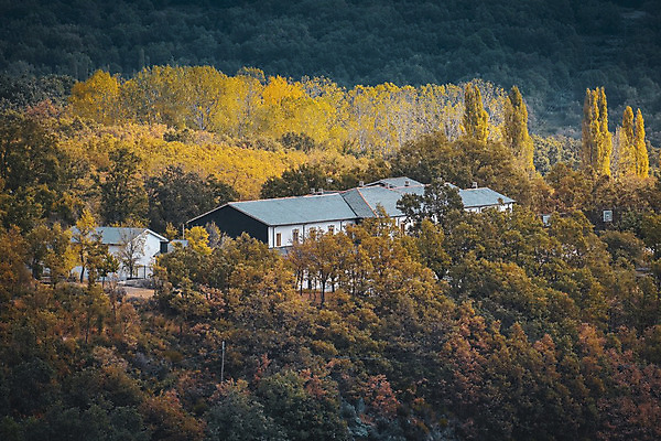 포토 JPG 해외이미지 주간 나무 계절 공원 길 백그라운드 단풍 잎 오렌지 자국 자연 벽지 풍경 사람없음 야외 목재 빨간색 초록색 컬러풀 운동 태양 갈색 노란색 평화 산책 하이킹 가을 나뭇가지 황금 숲 시원함 내추럴 땅바닥 삼림지대 해외202004 해외포토 자연요소 식물 공공시설 컬러 컨셉 과일 재료 레저 휴식 바닥 건강 생태계 파일형식 이미지허브