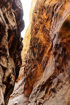 포토 JPG 해외이미지 공원 벽 여행 북아메리카 자연 숙이기 풍경 사람없음 야외 물 강 환경 계곡 미국 산책 땅 부식 좁은 방문 목각 깊이 서쪽 시온산 전국 세련 해외202004 해외포토 자연요소 공공시설 포즈 휴식 아메리카 방향 생태계 파일형식 이미지허브