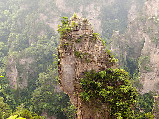 포토 JPG 해외이미지 나무 공원 아시아 지구 자연 산 동양인 풍경 사람없음 초록색 세계 계곡 중국 바위 기둥 재산 숲 신비 땅 심볼 즐거움 부식 호기심 사암 내추럴 옛날 전국 특별함 아바타 해외202004 해외포토 식물 공공시설 건축 감정 나라 컬러 컨셉 인종 금융 돌_바위 생태계 파일형식 이미지허브