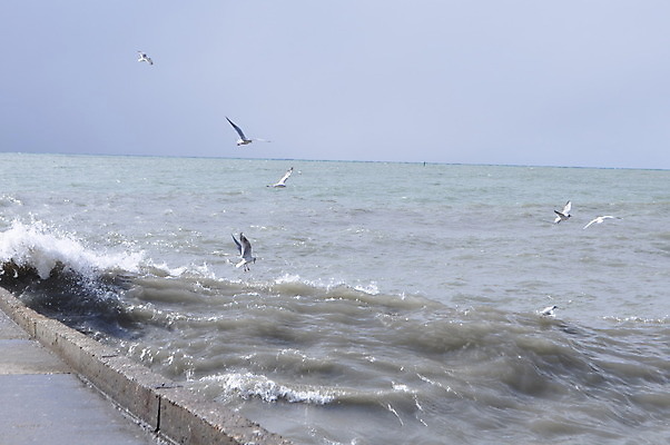 포토 JPG 해외이미지 구름 모래 파도 바다 자연 하늘 휴가 풍경 사람없음 야외 초록색 물 어둠 침묵 회색 안개 바위 스페인 폭풍 아일랜드 뿌연 안달루시아 수평선 해외202004 해외포토 자연요소 유럽 컬러 날씨 소리 돌_바위 생태계 파일형식 이미지허브