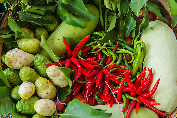 포토 JPG 해외이미지 식물 잡화 음식 농업 다이어트 토마토 채소 오렌지 과일 재료 고추 호박 가지 양파 오이 귤 건강 사람없음 바구니 정원 당근 수확 신선 상품 브로콜리 균형 먹기 비만 유기농 양배추 날것 박 보충 딜 채식주의자 비건 해외202004 해외포토 웰빙 산업 모션 뿌리채소 몸매 채식 파일형식 이미지허브