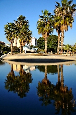포토 JPG 해외이미지 나무 구름 전통 공원 호수 섬 건축양식 자연 하늘 사람없음 야외 초록색 물 여름 반사 평화 정원 무대 연못 남쪽 커터 해외202004 해외포토 자연요소 식물 계절 공공시설 건축 컬러 컨셉 방향 생태계 파일형식 이미지허브