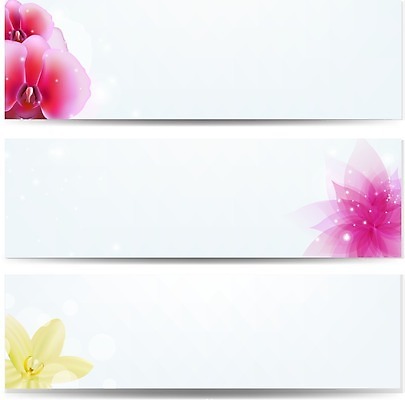 EPS 해외이미지 식물 템플릿 디자인 배너 꽃 종이 백그라운드 꽃무늬 일러스트 비즈니스 자연 추상 프레임 발렌타인데이 미술 동양인 그래픽 장식 정원 봄 흰색 신용카드 발표 화려 난초 향신료 오브젝트 레이아웃 초대 페이지 호접란 바닐라 엘리먼트 이국적 스타일 해외202004 해외일러스트 계절 컬러 컨셉 무늬 데이이벤트 문화예술 인종 금융 생태계 향미료 파일형식 벡터 이미지허브