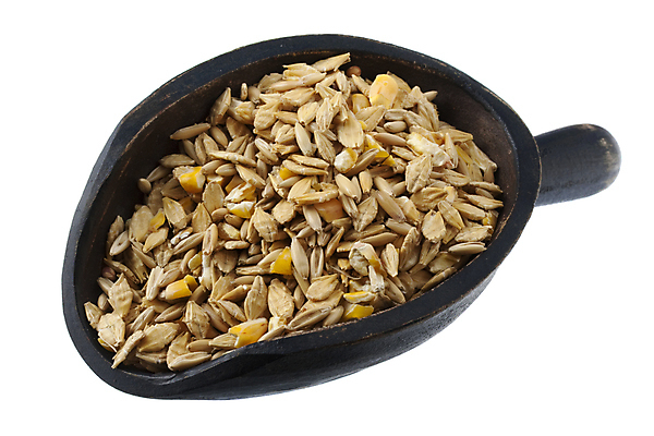 포토 JPG 해외이미지 곡류 실내 옥수수 사람없음 혼합 흰배경 보리 건강식 스쿱 귀리 해외202004 해외포토 음식 백그라운드 내부 흰색 파일형식 이미지허브