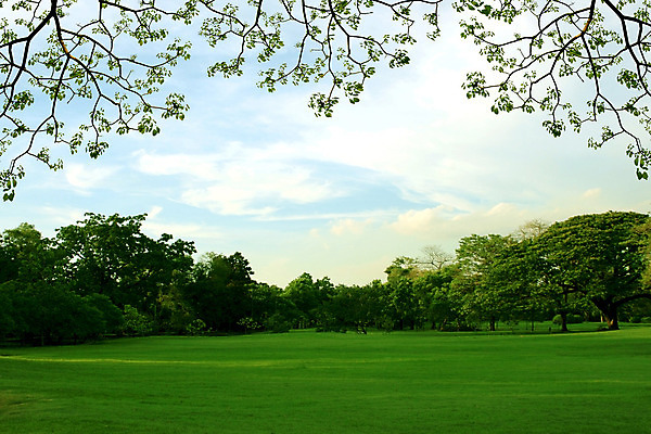 포토 JPG 해외이미지 나무 식물 구름 공원 꽃 길 백그라운드 잎 꽃무늬 자연 하늘 풍경 잔디 사람없음 야외 장식 초록색 여름 정원 벚꽃 개화 큼 원예 해외202004 해외포토 자연요소 계절 공공시설 컬러 무늬 취미 크기 생태계 파일형식 이미지허브