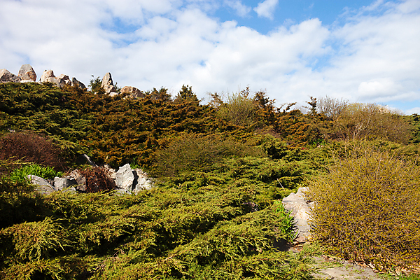 포토 JPG 해외이미지 식물 구름 디자인 공원 자연 하늘 산 풍경 사람없음 야외 장식 초록색 여름 정원 봄 성장 바위 고도 관목 언덕 원예 조경 침엽수 내추럴 우크라이나 향나무 세련 해외202004 해외포토 자연요소 나무 계절 공공시설 유럽 컬러 취미 돌_바위 생태계 파일형식 이미지허브