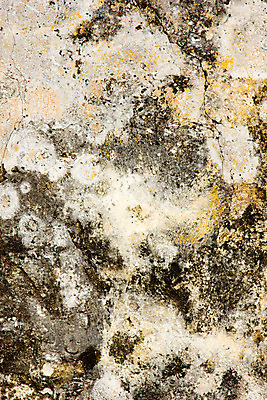 포토 JPG 해외이미지 벽 백그라운드 추상 사람없음 맑음 질감 옛날 해외202004 해외포토 무늬 날씨 파일형식 이미지허브