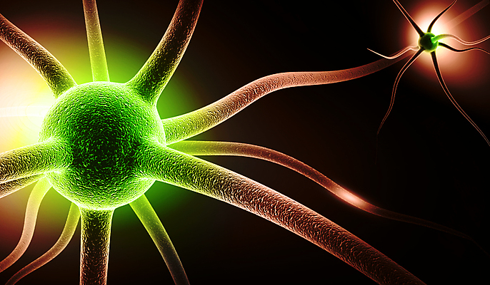 포토 JPG 해외이미지 과학 해부 세포 실내 건강 사람 사람없음 약 3D 건강관리 흐름 에너지 마음 감각 확대 맥박 자르기 불안 뇌 생물학 신호 전자 미생물 시스템 모터 바이오 해외202004 해외포토 교육 감정 컨셉 의학 모션 생물 관리 내부 디지털합성 파일형식 이미지허브