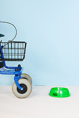 포토 JPG 해외이미지 동물 음식 의자 교통시설 주택 사람 취미 사람없음 초록색 파란색 반려동물 컬러풀 바구니 금속 산책 슬픔 죽음 바퀴 사발 오브젝트 테라피 장애 고립 옛날 재활 중고 혼자 해외202004 해외포토 감정 컬러 가구 교통 재질 휴식 건물 치료 뷰티 사기그릇 시설 파일형식 이미지허브