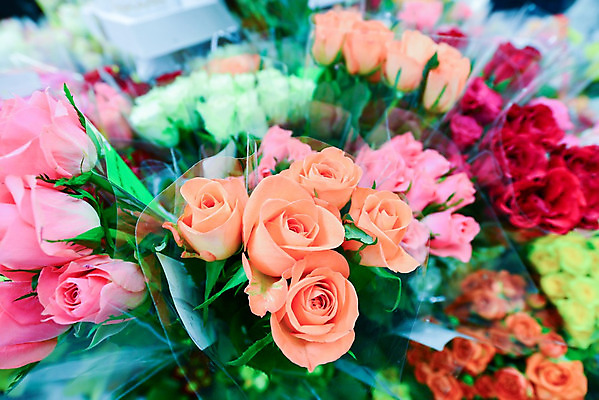 포토 JPG 해외이미지 식물 기념일 꽃잎 꽃 분홍색 꽃다발 잎 꽃무늬 자연 결혼식 발렌타인데이 선물 사랑 사람없음 장식 초록색 세트 장미 노란색 정원 축제 놀람 봄 성장 벚꽃 흰색 축하 신선 개화 그룹 의식 큼 다발 수집 심볼 질감 향기 아로마 열정 악취 멀티 해외202004 해외포토 계절 감정 컬러 결혼 컨셉 무늬 데이이벤트 표정 이벤트 크기 생태계 냄새 파일형식 이미지허브