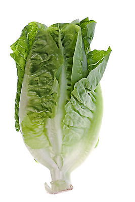 포토 JPG 해외이미지 식물 음식 잎 농업 다이어트 채소 자연 건강 요리 사람없음 초록색 식사 저녁식사 샐러드 신선 닫기 맛 상추 먹기 묘사 유기농 날것 성분 내추럴 고립 식용 로메인상추 해외202004 해외포토 웰빙 산업 컬러 컨셉 모션 생태계 파일형식 이미지허브