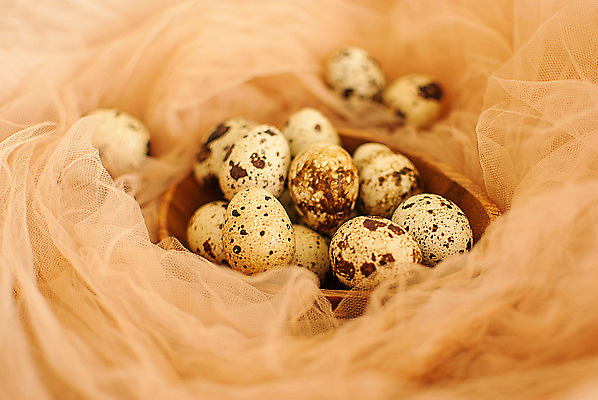 포토 JPG 해외이미지 전통 음식 다이어트 재료 건강 요리 사람없음 목재 갈색 바구니 계란 회색 튀김 시골 신선 사발 볏짚 아침식사 상품 가득함 유기농 날것 발레복 노른자 밀짚 흙더미 제비 베일 오믈렛 내추럴 깨짐 메추리 식용 식품점 채식주의자 해외202004 해외포토 나무 웰빙 옷 컬러 컨셉 조류 상점 알 식사 흙 사기그릇 짚 계란요리 발레 채식 파일형식 더미 이미지허브