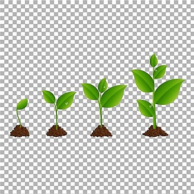 EPS 해외이미지 식물 꽃 실루엣 백그라운드 컨셉 잎 일러스트 자연 새로움 사람없음 초록색 세트 꼬리표 새싹 정원 봄 재활용 성장 발사 심볼 오브젝트 유기농 원예 내추럴 그런지 해외202004 해외일러스트 웰빙 계절 컬러 촬영기법 취미 라벨 친환경 생태계 파일형식 벡터 이미지허브