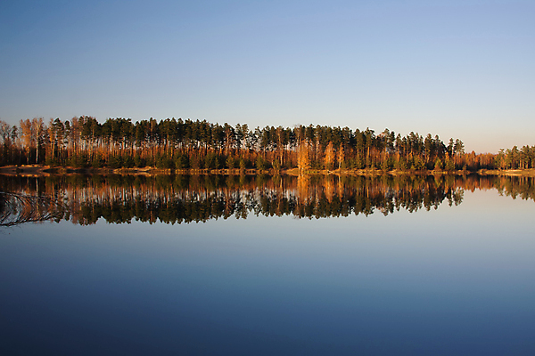 포토 JPG 해외이미지 나무 호수 잎 오렌지 자연 하늘 아침 풍경 사람없음 야외 초록색 강 컬러풀 반사 평화 환경 침묵 가을 물방울 시골 숲 장면 내추럴 해외202004 해외포토 주간 식물 계절 컬러 컨셉 과일 소리 생태계 파일형식 이미지허브