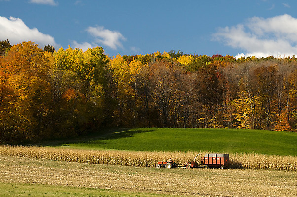 포토 JPG 해외이미지 식물 계절 지구 음식 백그라운드 밭 농업 자연 하늘 옥수수 풍경 사람없음 야외 가로 여름 파란색 농작물 농장 농경지 기계 장비 수확 가을 시골 업무 황금 결합 땅 장면 트랙터 내추럴 밭일 숙성 해외202004 해외포토 산업 컬러 곡류 작업 농기계 생태계 특수차량 파일형식 이미지허브