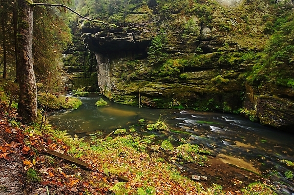 포토 JPG 해외이미지 나무 계절 공원 호수 백그라운드 잎 오렌지 자연 이끼 풍경 사람없음 야외 목재 빨간색 초록색 물 강 컬러풀 노란색 환경 흐름 가을 바위 시골 개울 황금 숲 작음 11월 장면 10월 내추럴 해외202004 해외포토 자연요소 식물 공공시설 컬러 컨셉 과일 재료 돌_바위 날짜 크기 생태계 파일형식 이미지허브